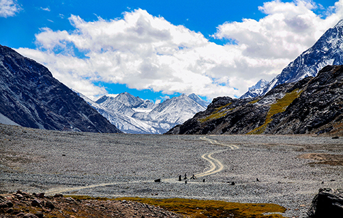 nature Photography delhi india